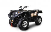 2010 Bennche Gray Wolf 700 photo